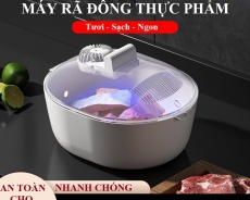 Máy Rã Đông Thực Phẩm Lạnh